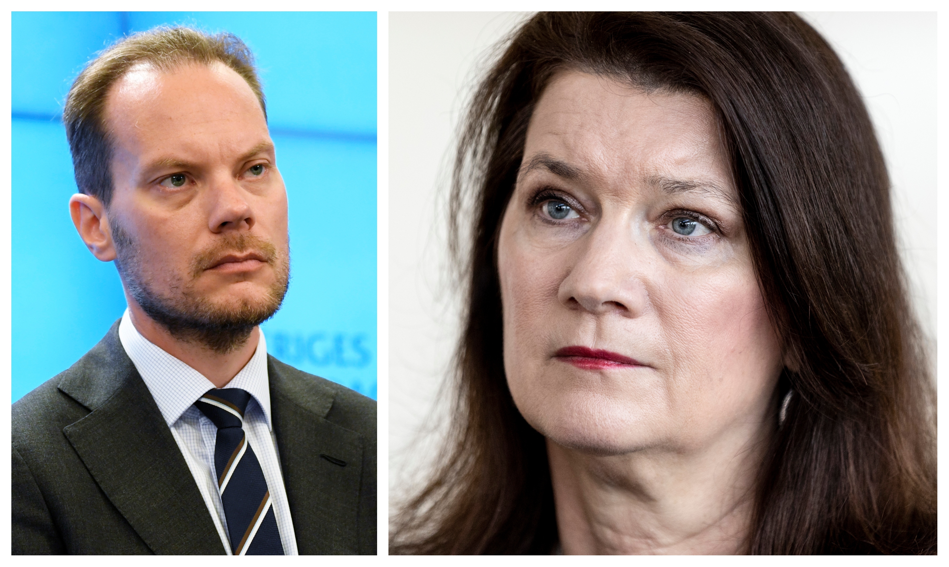 Sverigedemokraterna, Ann Linde